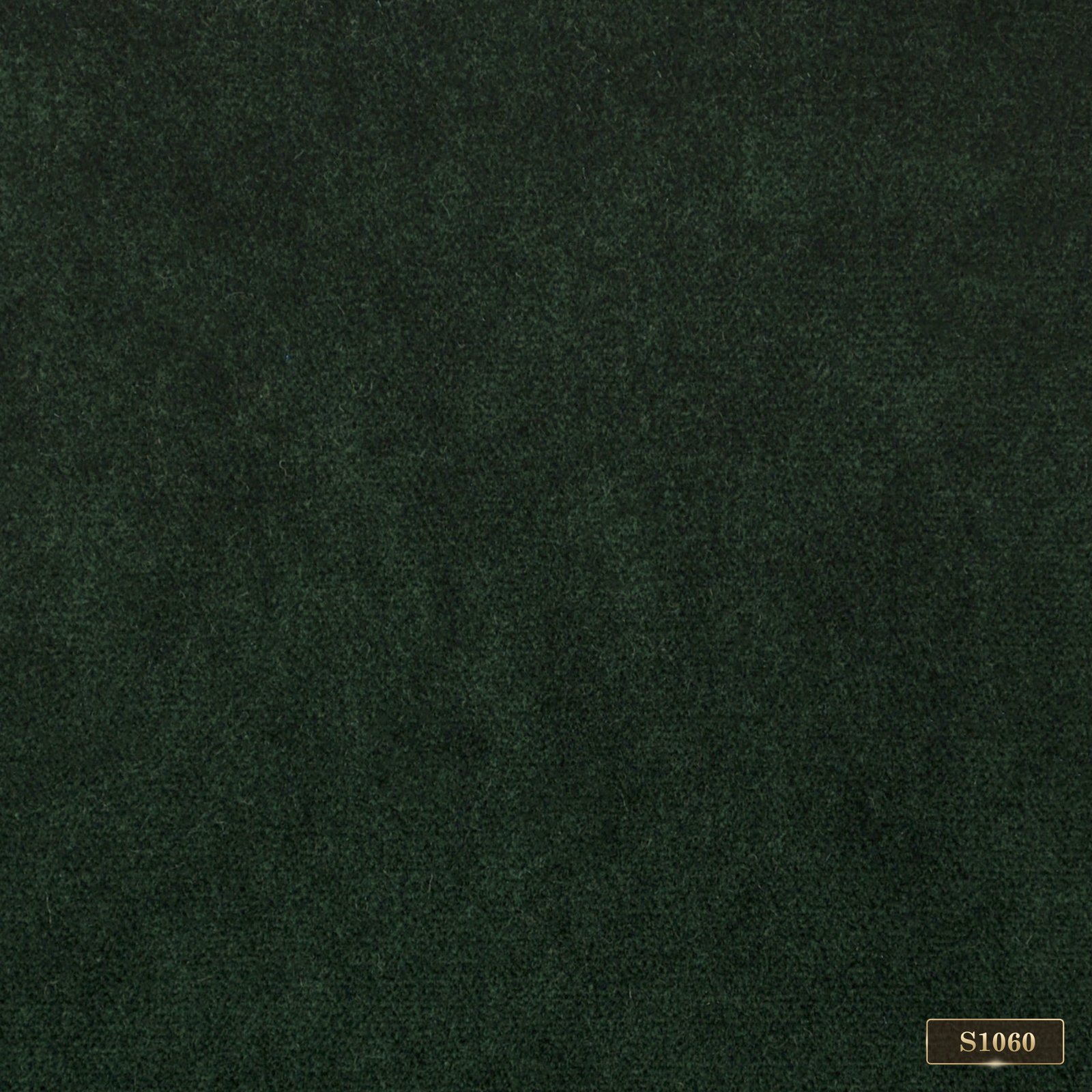 S1060