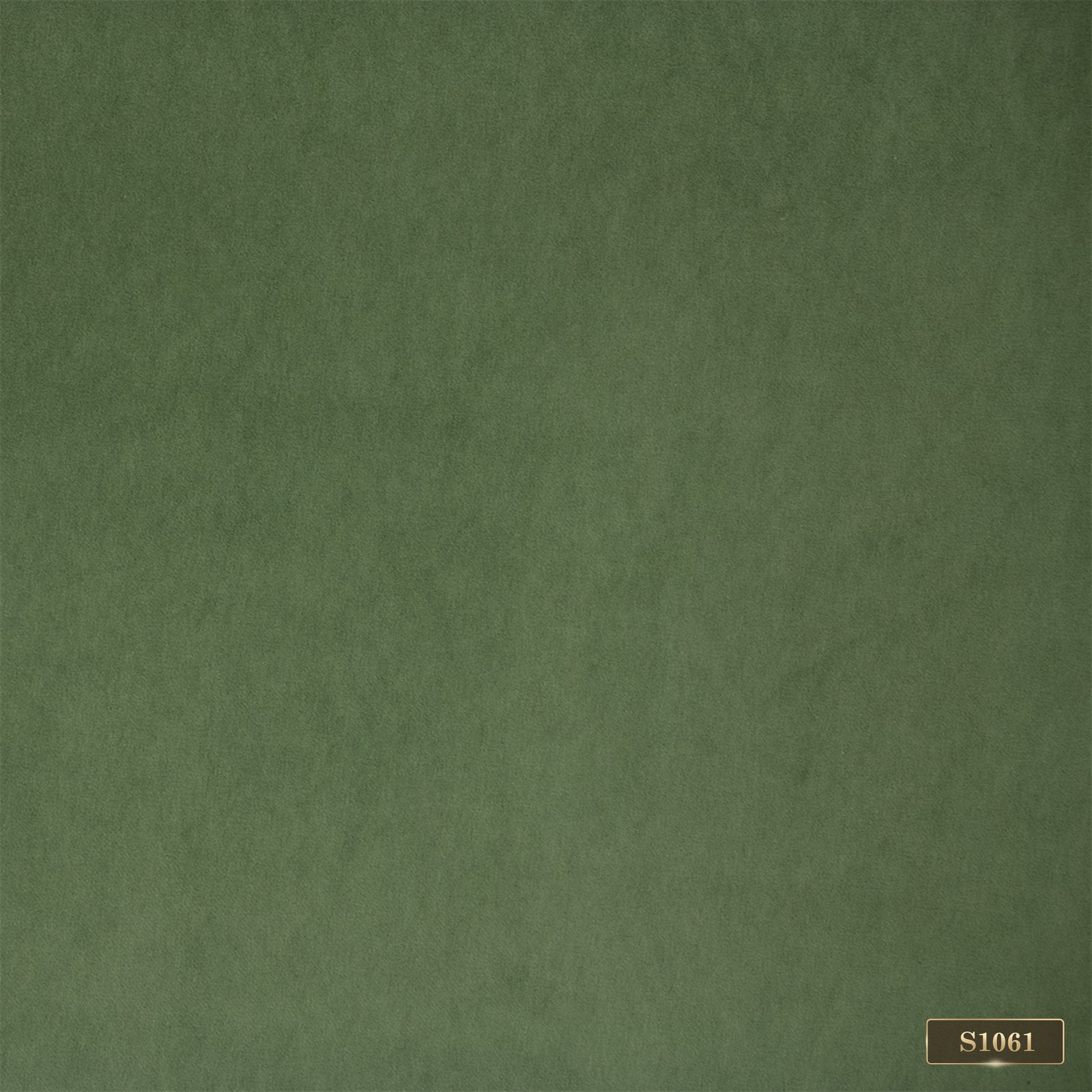 S1061